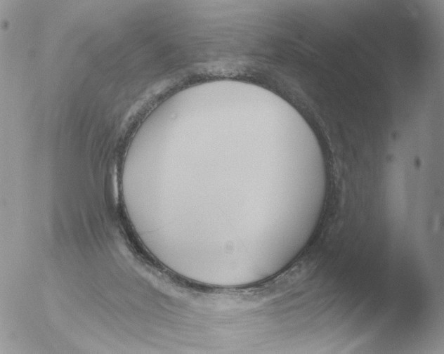 X0000051920020200507152108