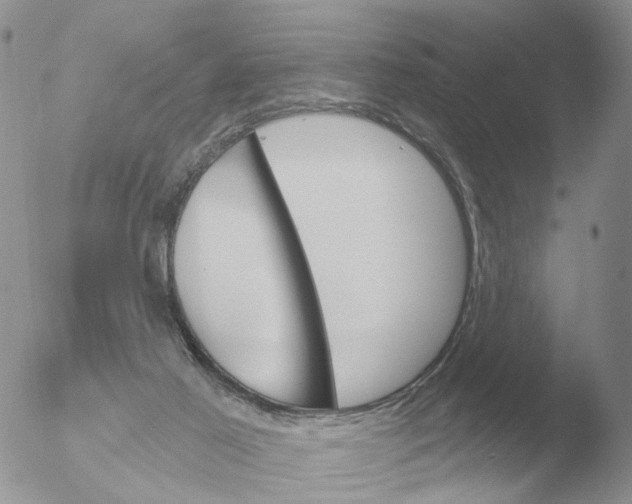 X0000051920021200507152108