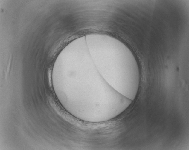 X0000051920022200507152108