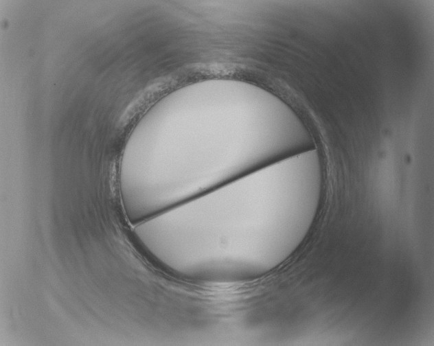 X0000051920023200507152108