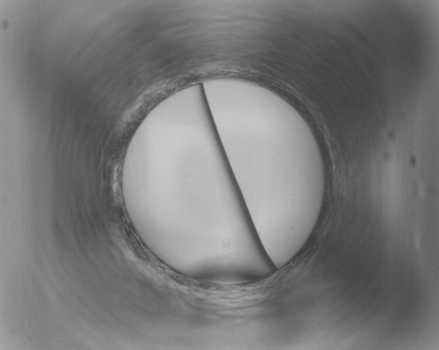 X0000051920024200507152108