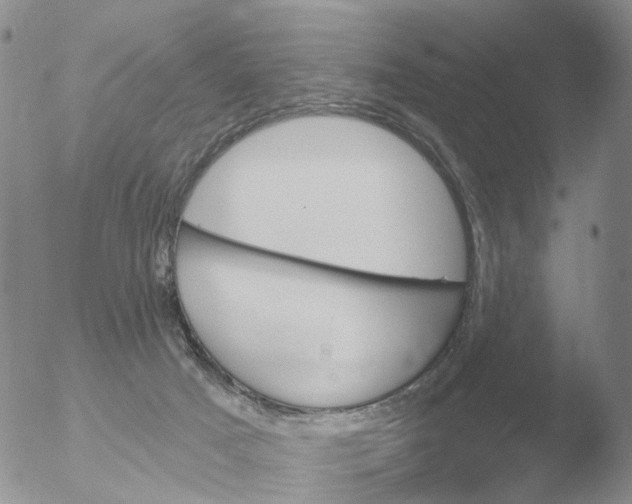 X0000051920025200507152108