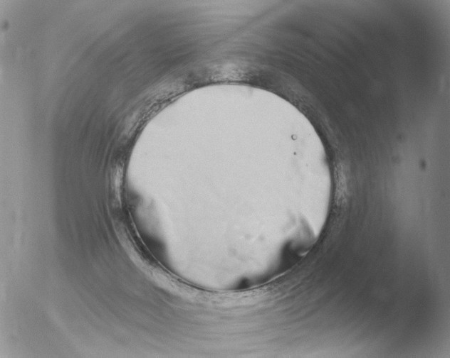 X0000051920026200507152108