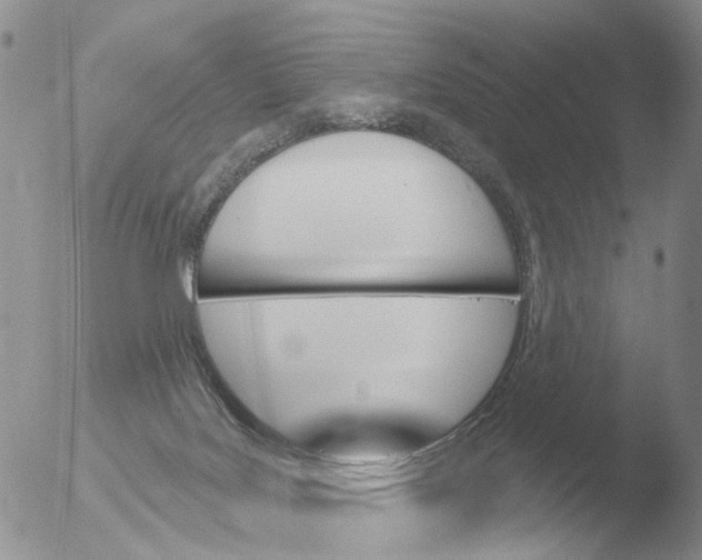 X0000051920027200507152108