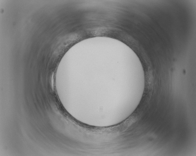 X0000051920028200507152108