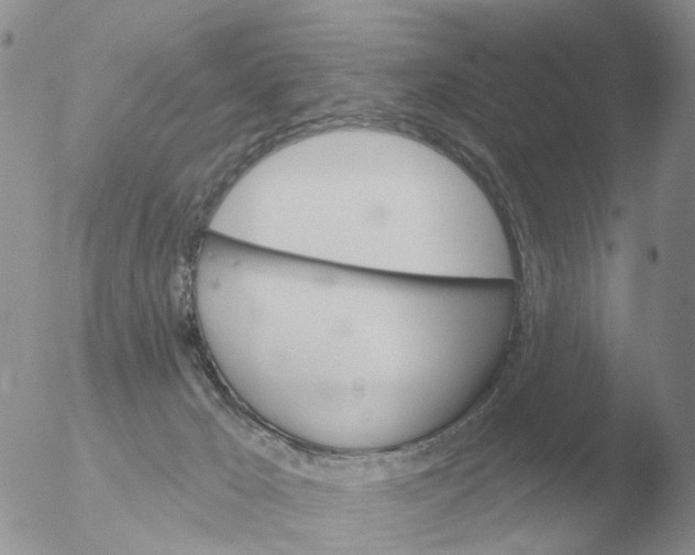 X0000051920029200507152108