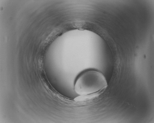 X0000051920031200507152108