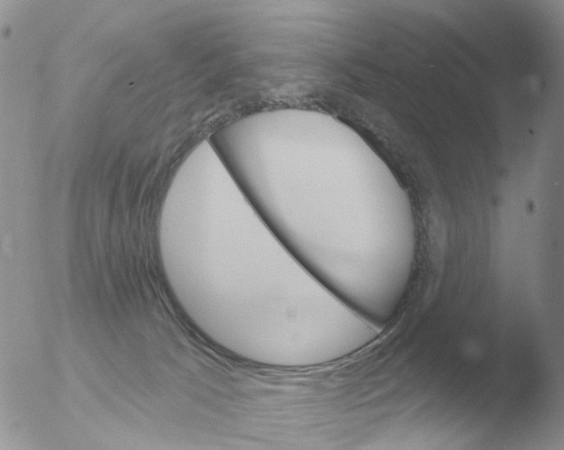 X0000051920033200507152108