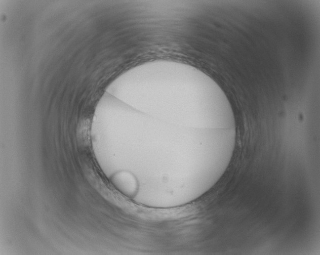 X0000051920034200507152108