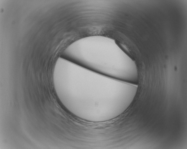 X0000051920035200507152108