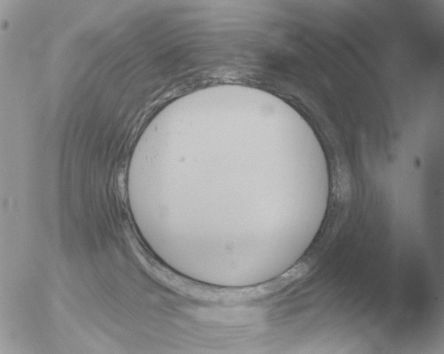 X0000051920036200507152108