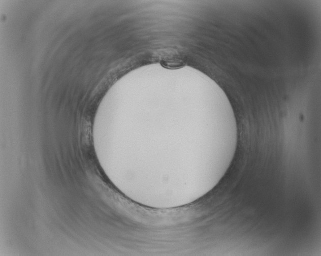 X0000051920038200507152108