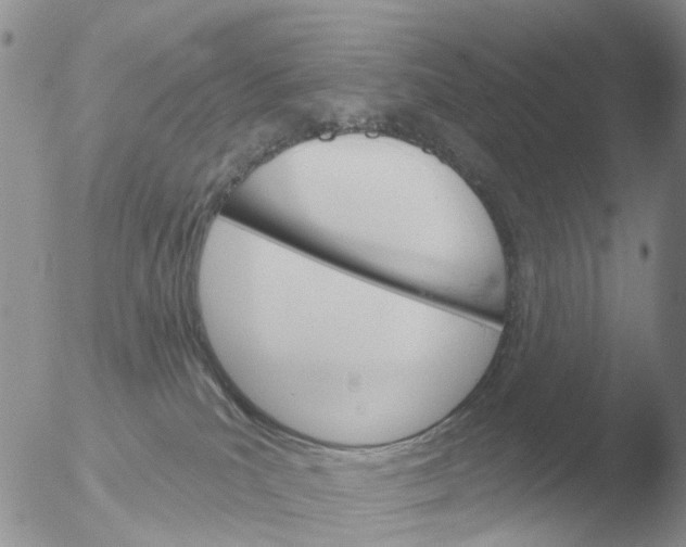 X0000051920039200507152108