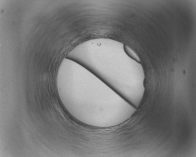 X0000051920040200507152108