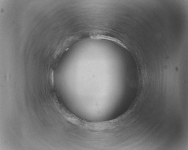 X0000051920041200507152108