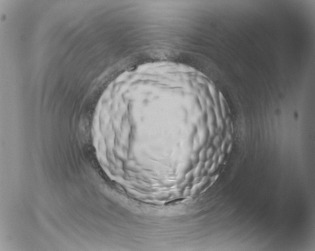 X0000051920043200507152108