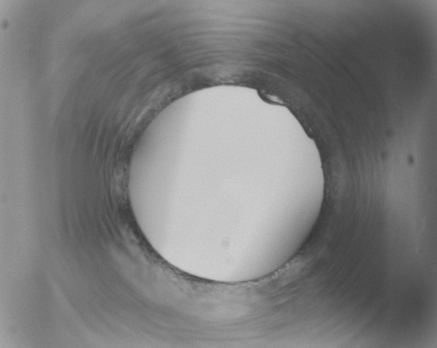 X0000051920044200507152108