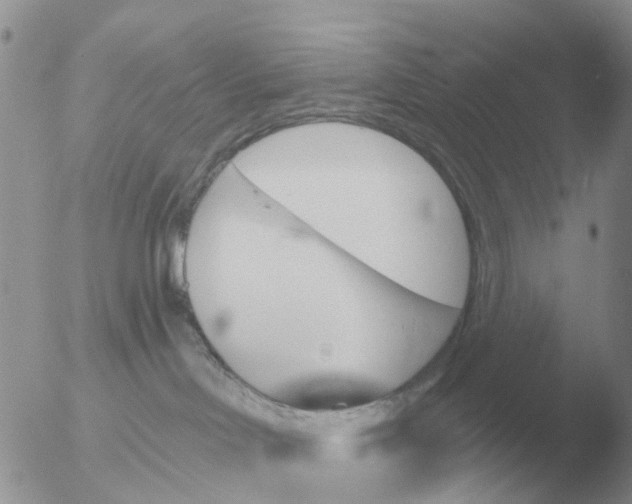 X0000051920046200507152108