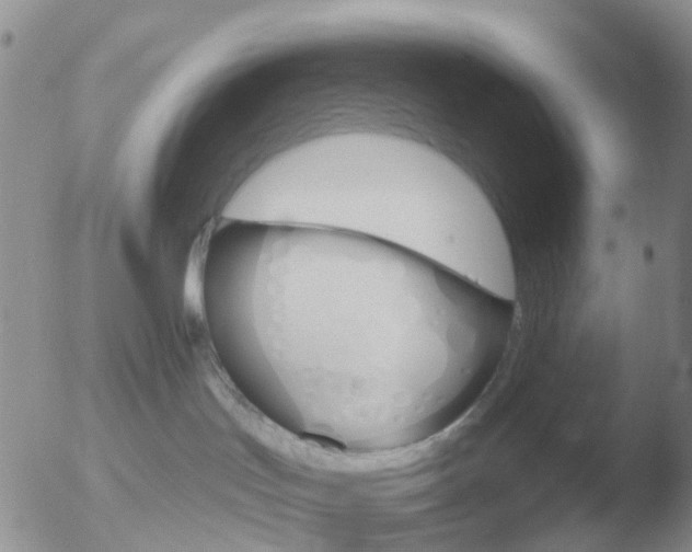 X0000051920047200507152108