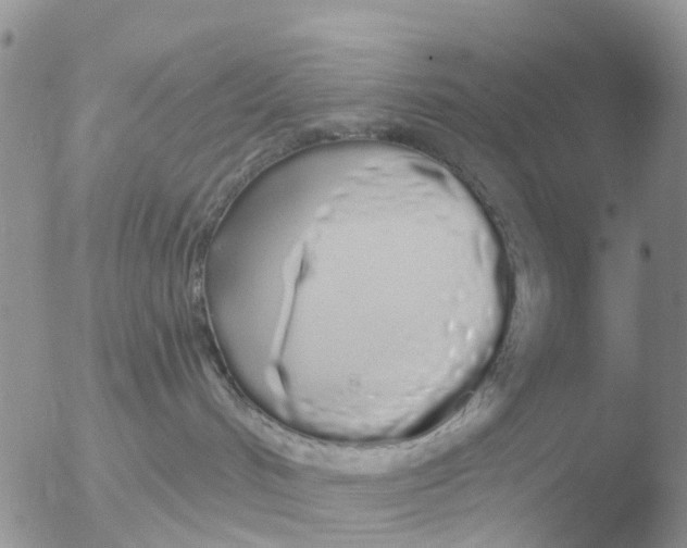 X0000051920048200507152108