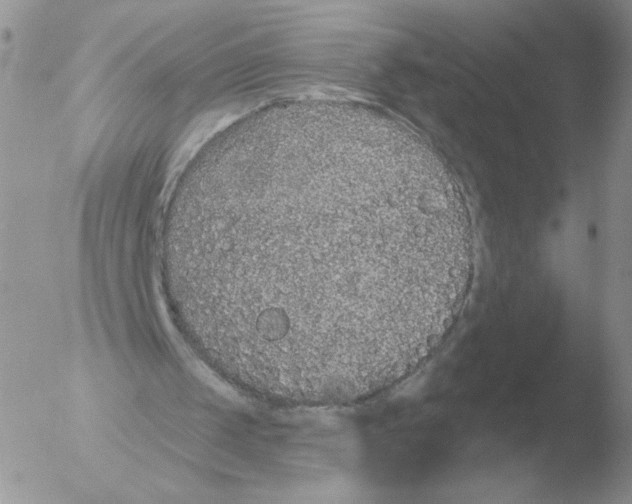 X0000051920049200507152107