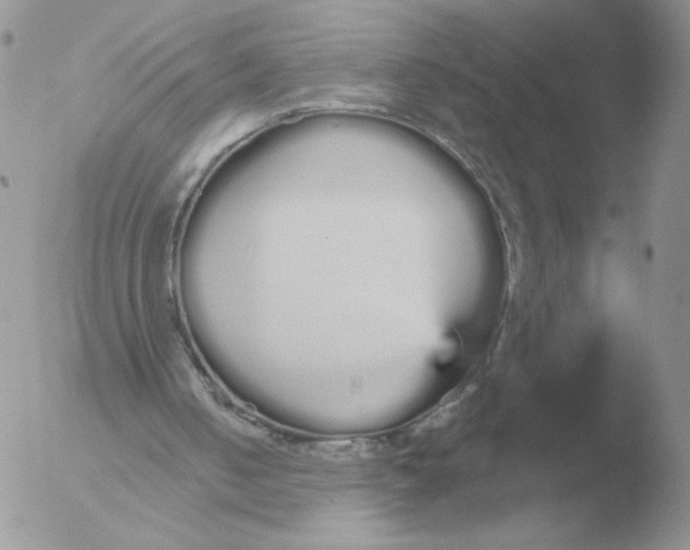 X0000051920050200507152107