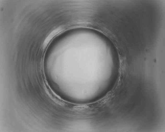 X0000051920051200507152107