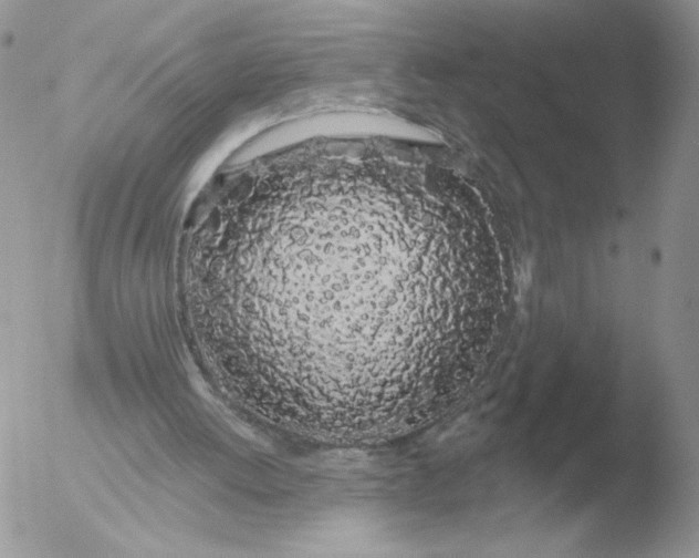 X0000051920052200507152107