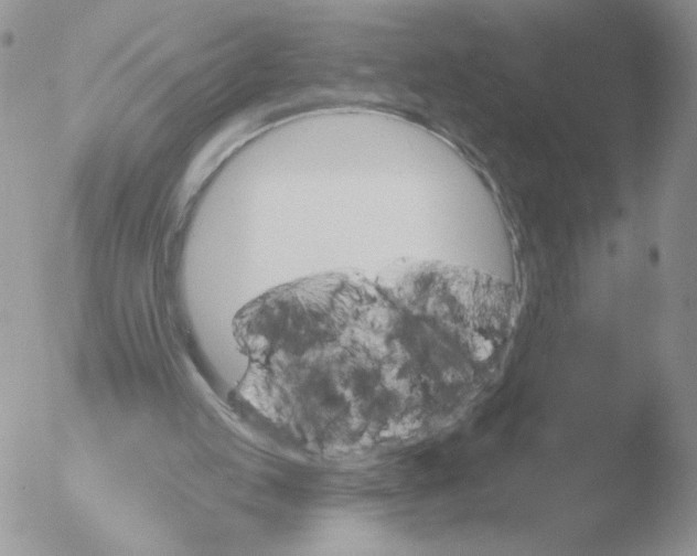 X0000051920053200507152107