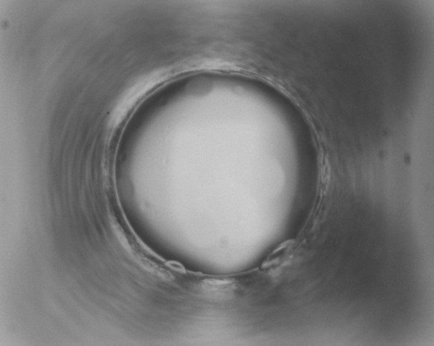 X0000051920055200507152107