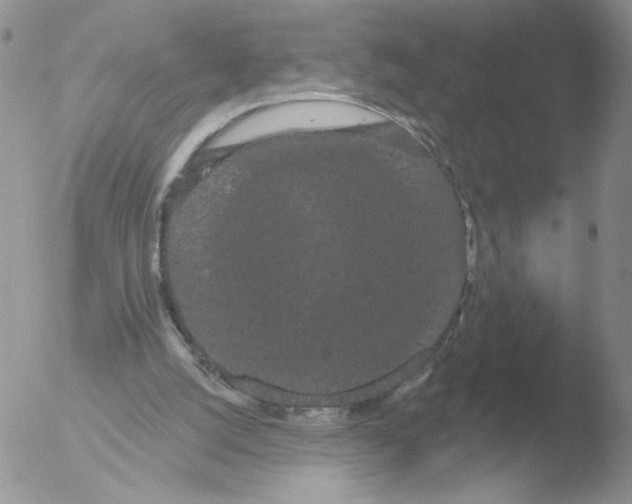 X0000051920056200507152107