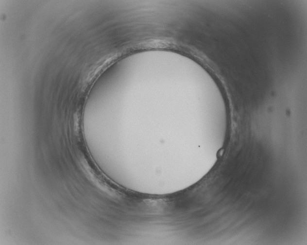 X0000051920057200507152107