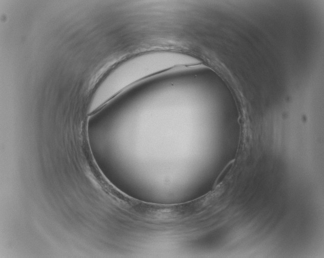 X0000051920058200507152107