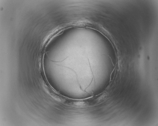 X0000051920059200507152107