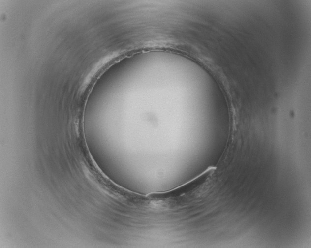 X0000051920060200507152107