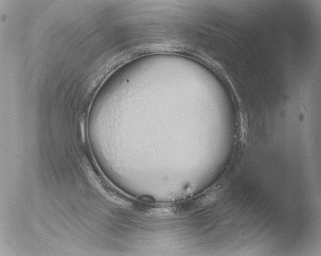 X0000051920061200507152107