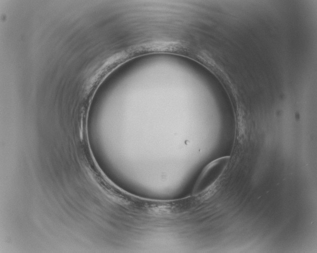 X0000051920062200507152107