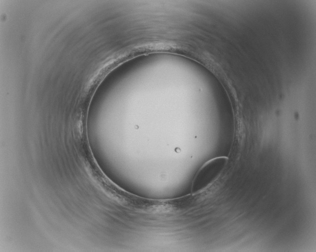 X0000051920063200507152107