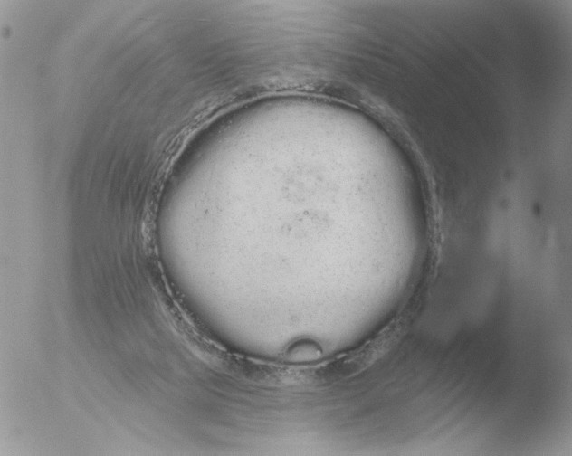 X0000051920065200507152107