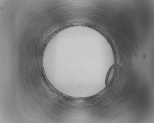 X0000051920066200507152107