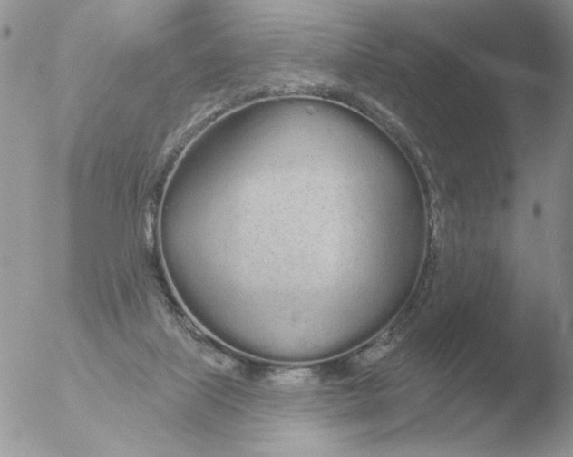 X0000051920067200507152107