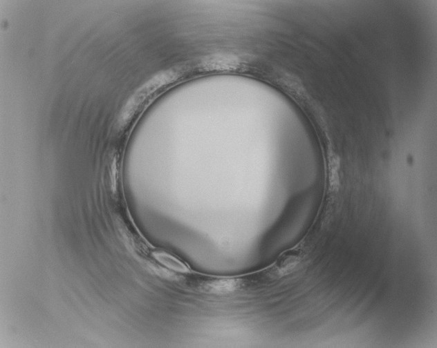 X0000051920068200507152108