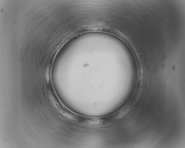 X0000051920069200507152108