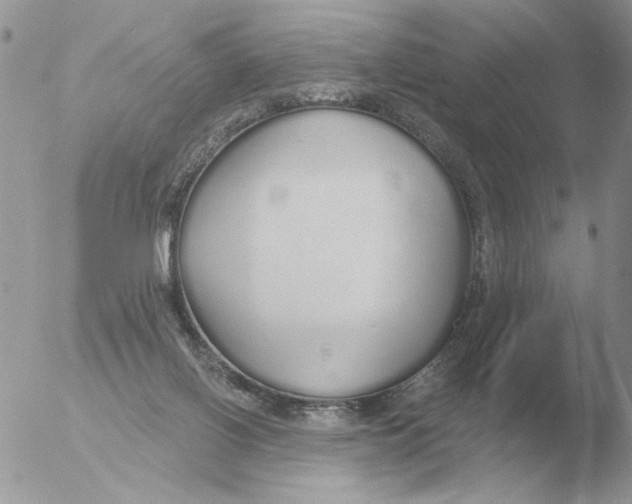 X0000051920070200507152108