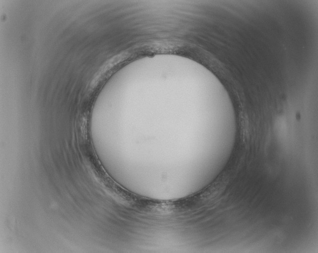 X0000051920071200507152108