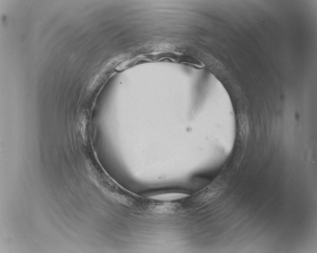 X0000051920072200507152108