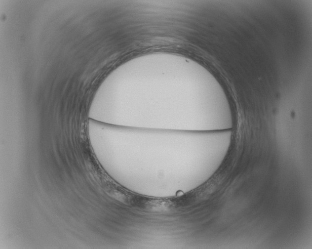 X0000051920073200507152108