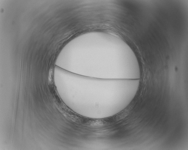 X0000051920075200507152108