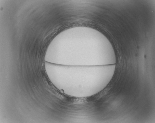 X0000051920077200507152108