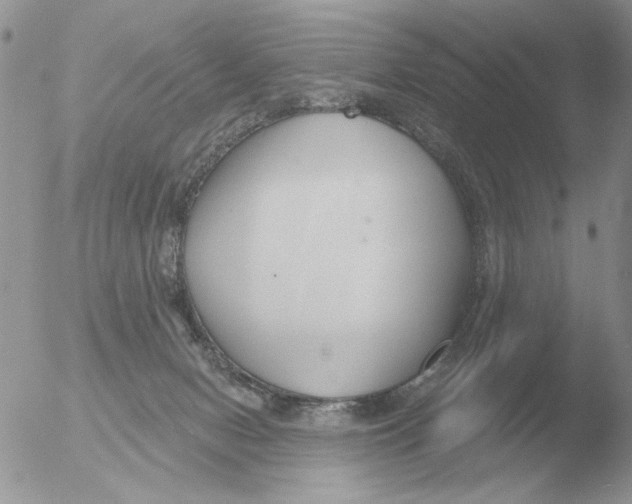 X0000051920078200507152108